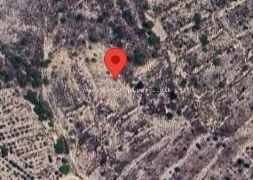 Resale - Plot - Abanilla - EL CANTON