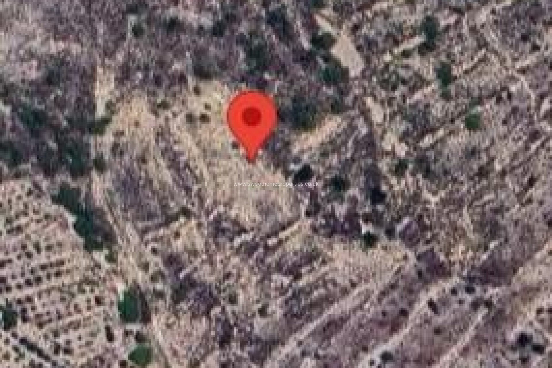 Resale - Plot - Abanilla - EL CANTON