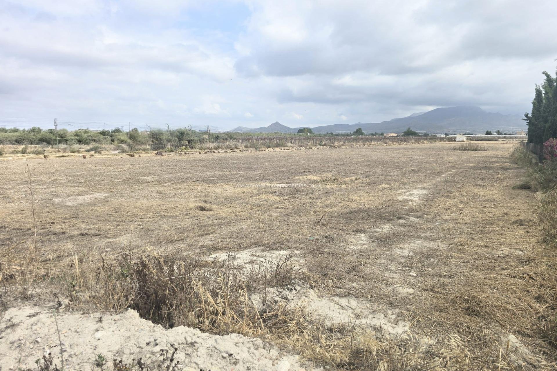 Resale - Plot - Aspe - Huerta mayor