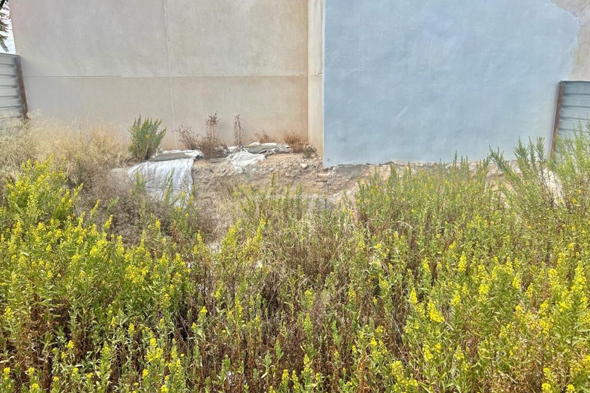 Resale - Plot - Aspe - La coca