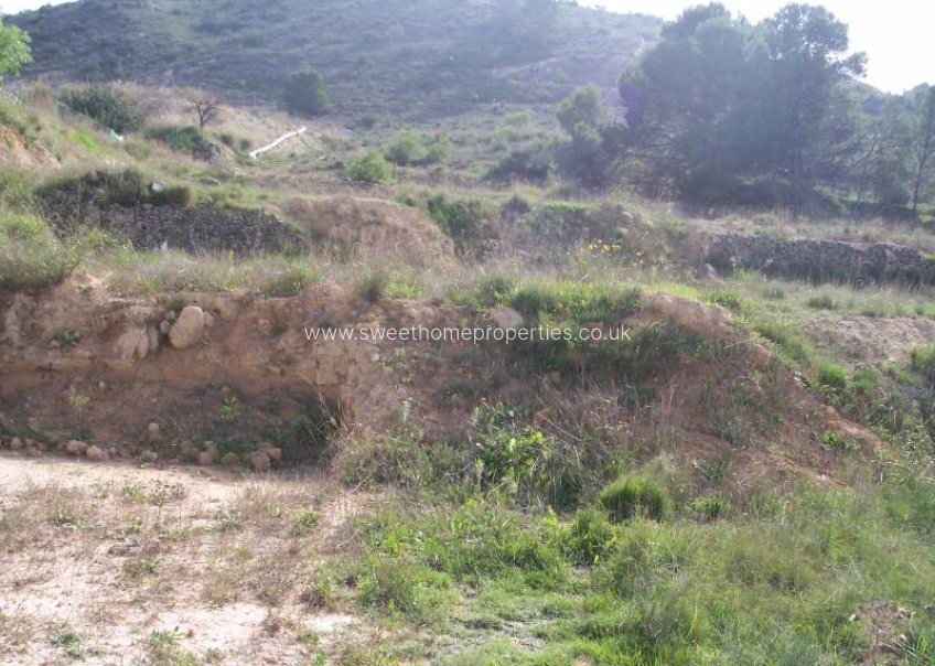 Resale - Plot - Aspe