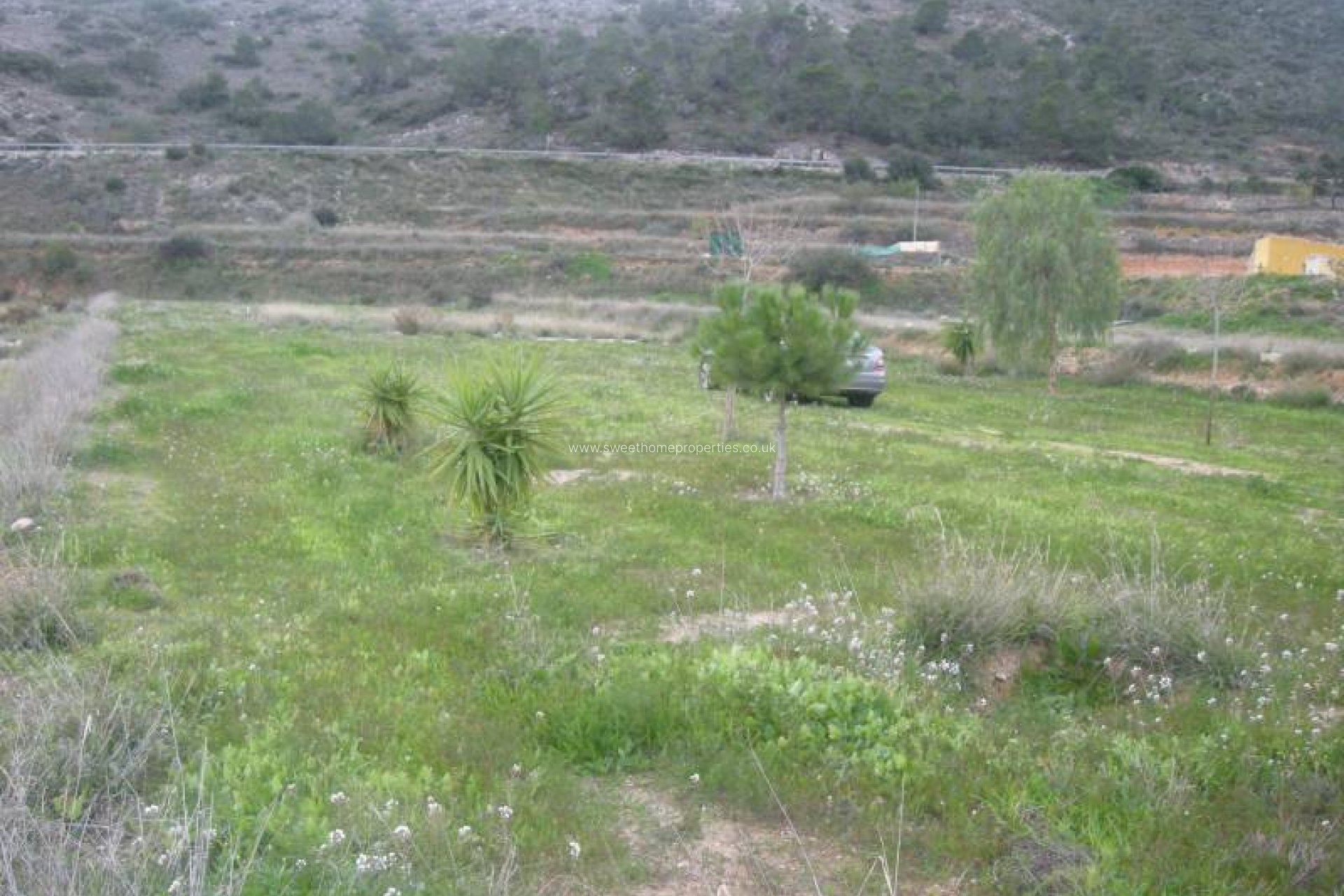 Resale - Plot - Aspe