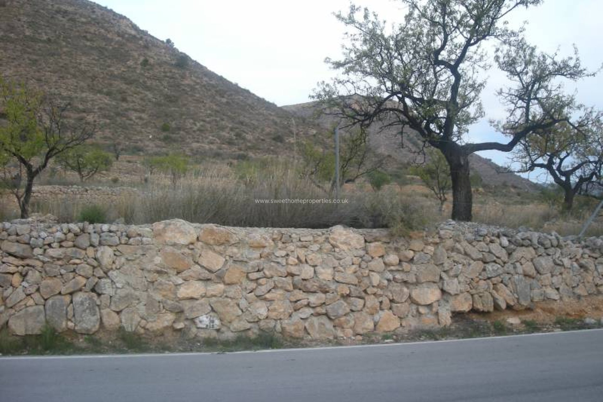 Resale - Plot - Aspe