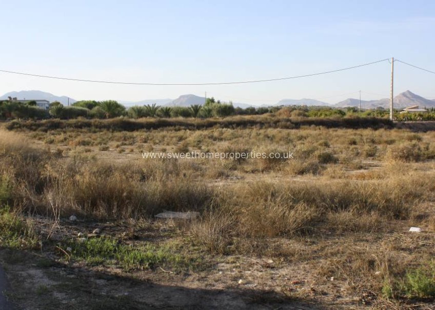 Resale - Plot - Aspe