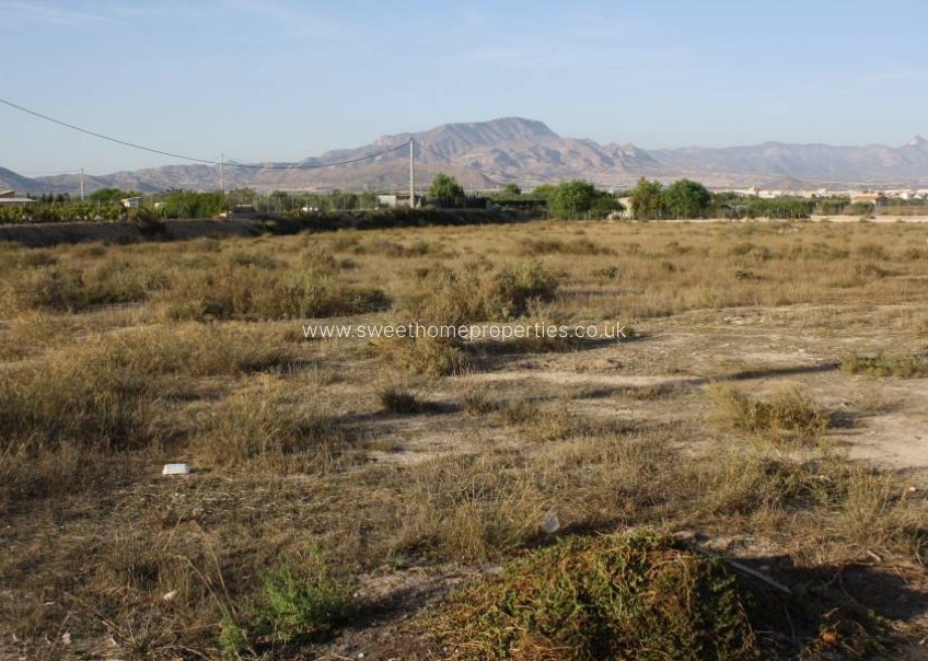 Resale - Plot - Aspe