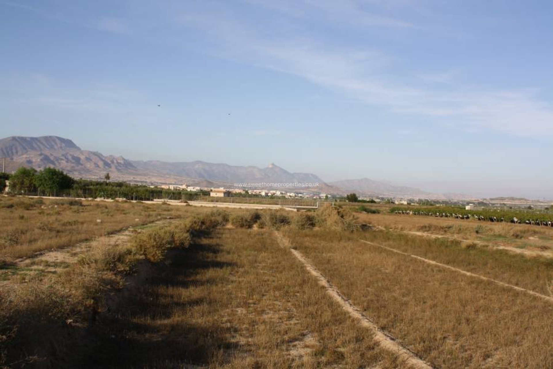 Resale - Plot - Aspe