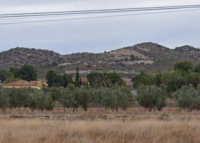 Resale - Plot - Aspe