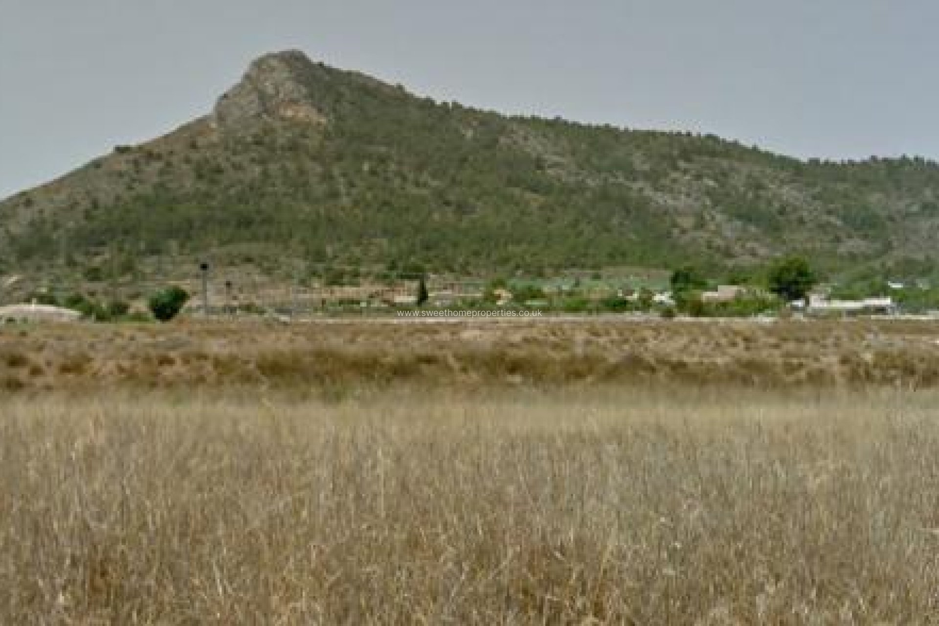 Resale - Plot - Aspe