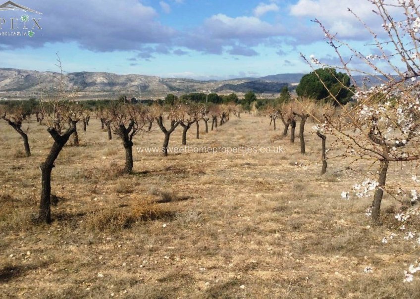 Resale - Plot - Biar