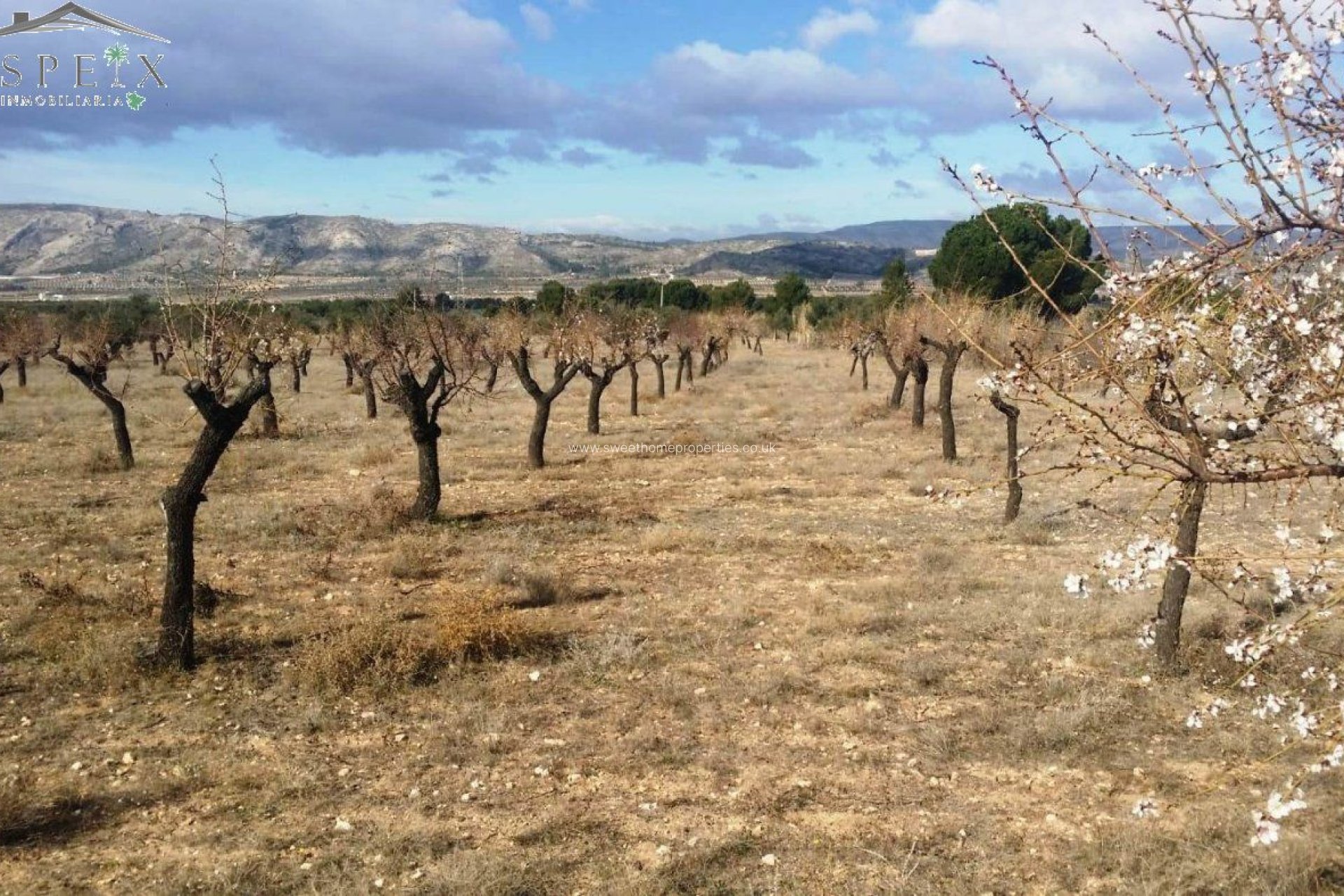 Resale - Plot - Biar