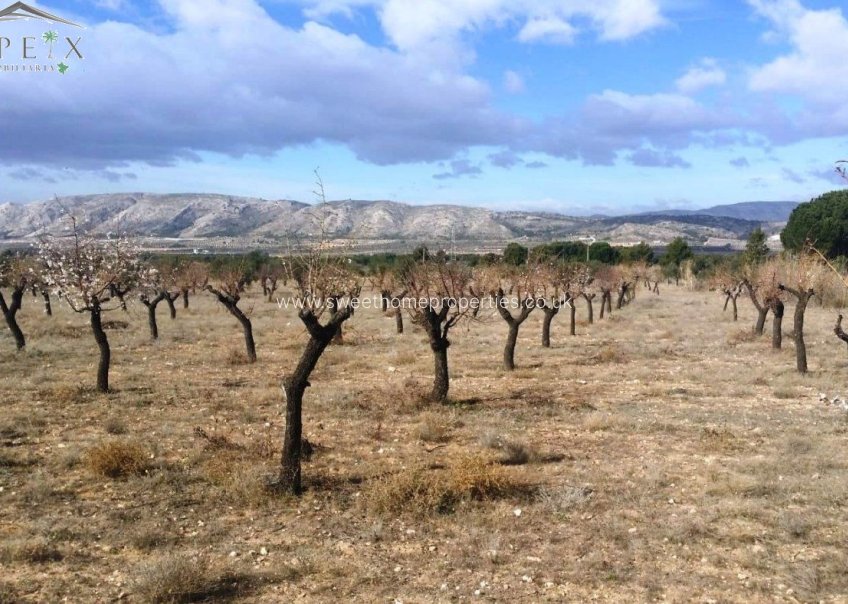 Resale - Plot - Biar