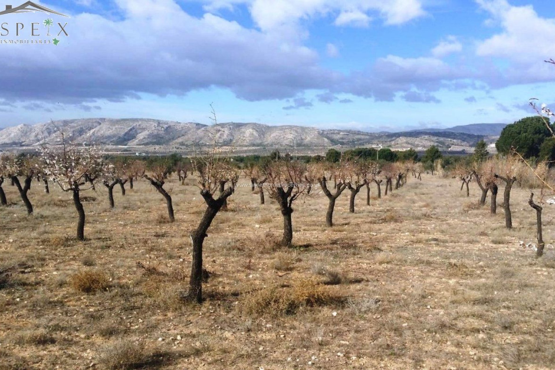 Resale - Plot - Biar