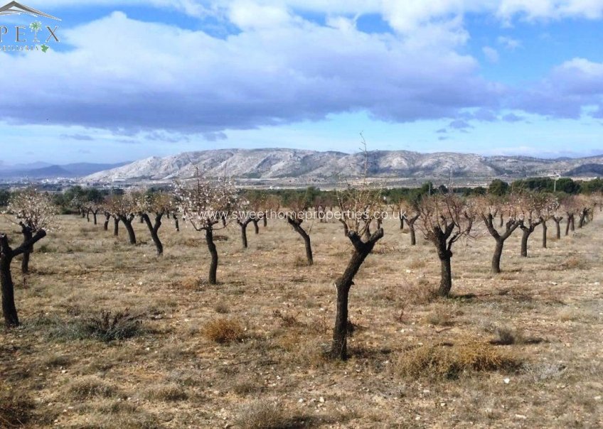 Resale - Plot - Biar