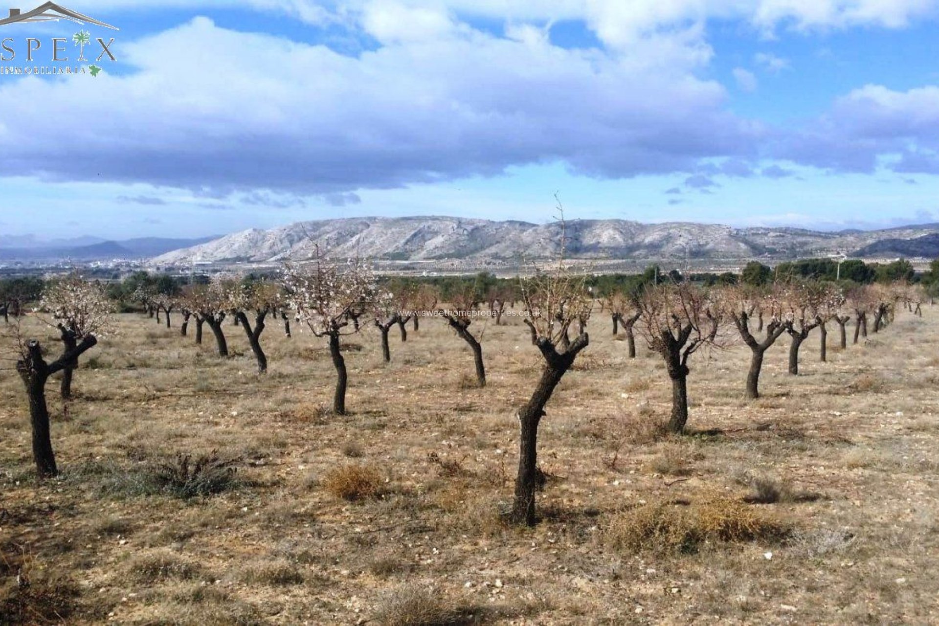 Resale - Plot - Biar