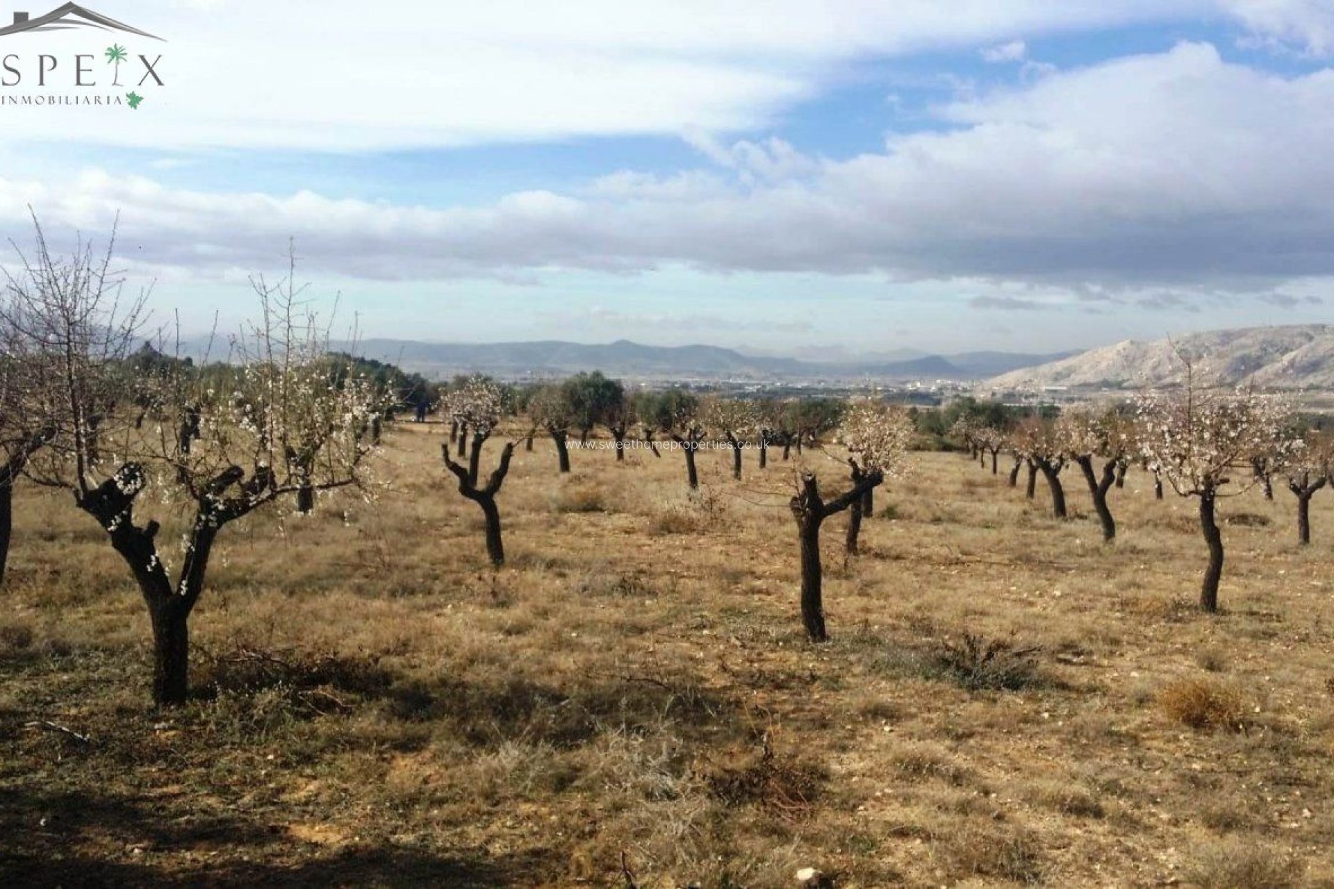 Resale - Plot - Biar