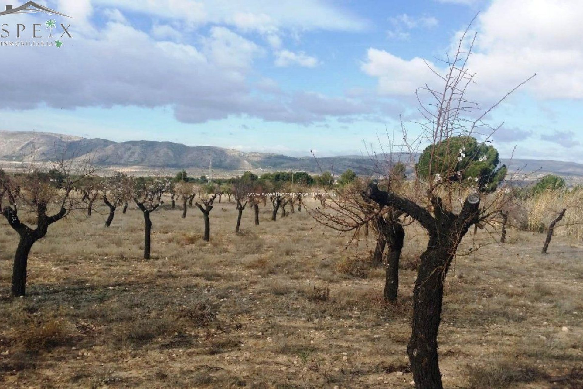 Resale - Plot - Biar