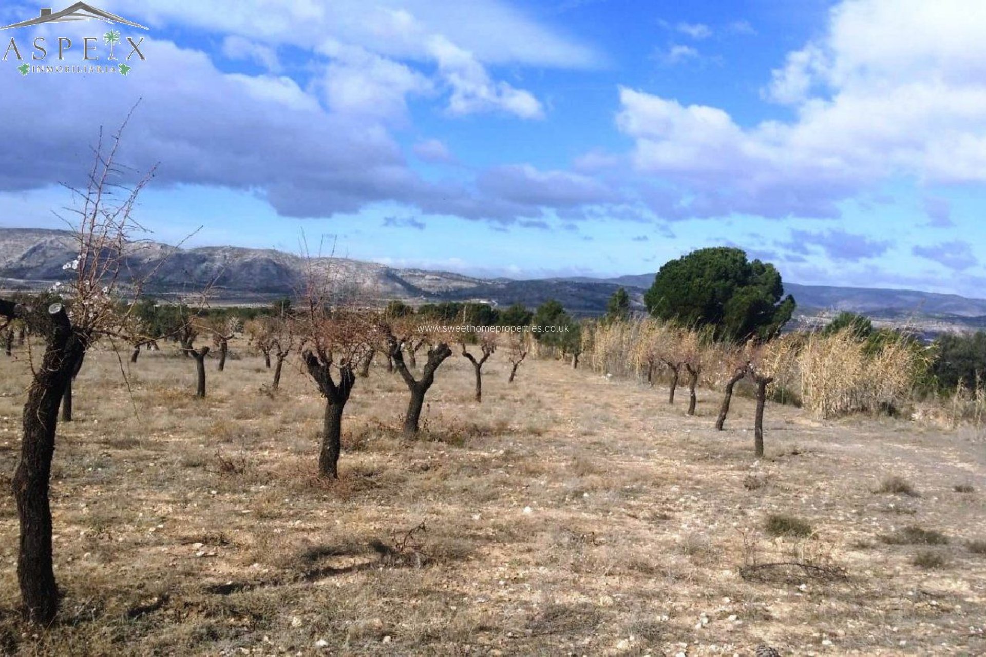 Resale - Plot - Biar