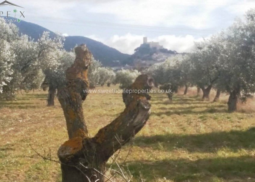 Resale - Plot - Biar