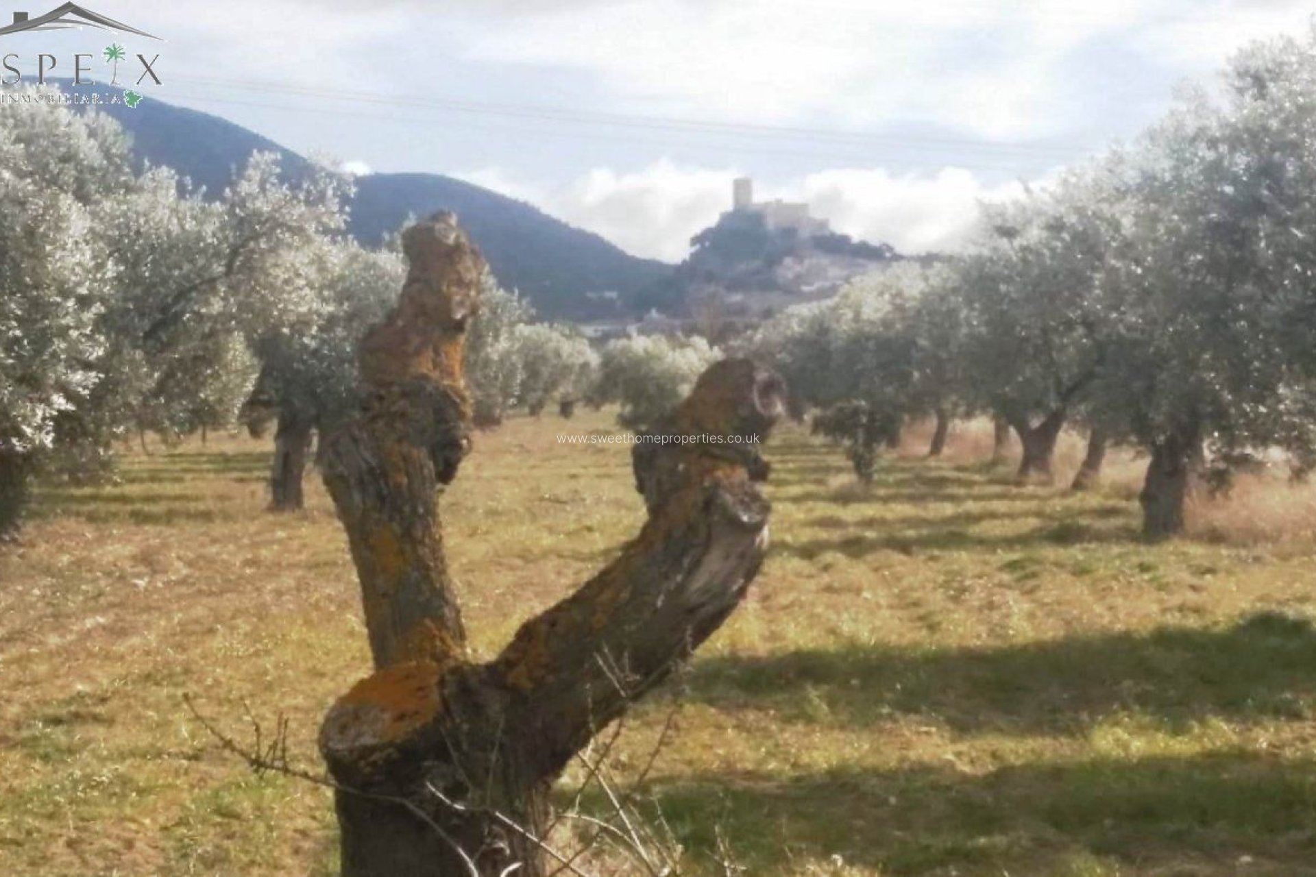 Resale - Plot - Biar