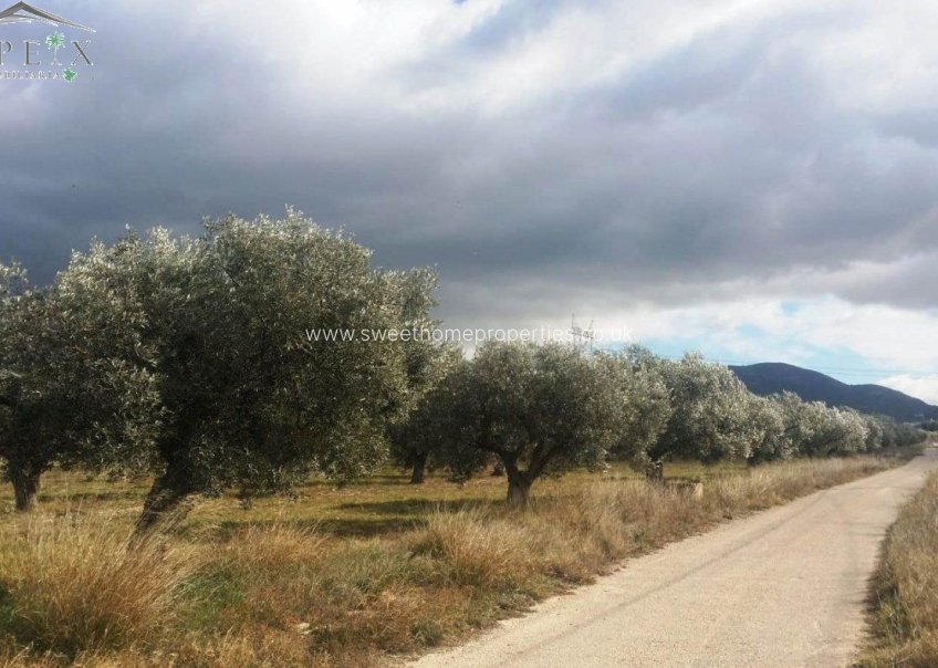 Resale - Plot - Biar