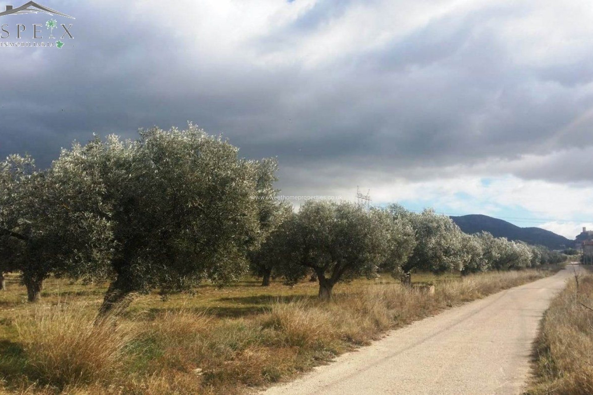 Resale - Plot - Biar