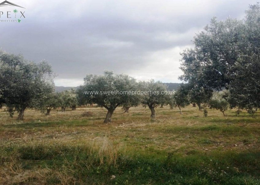 Resale - Plot - Biar