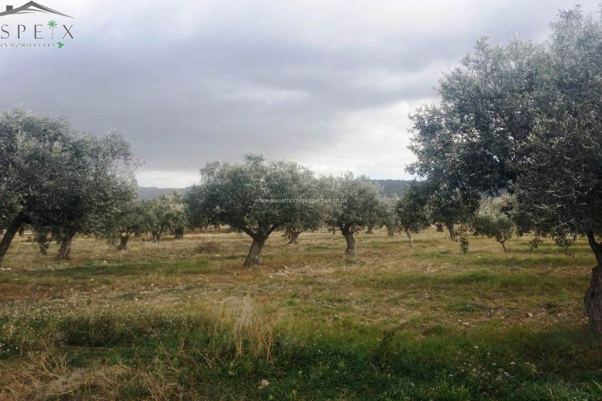 Resale - Plot - Biar