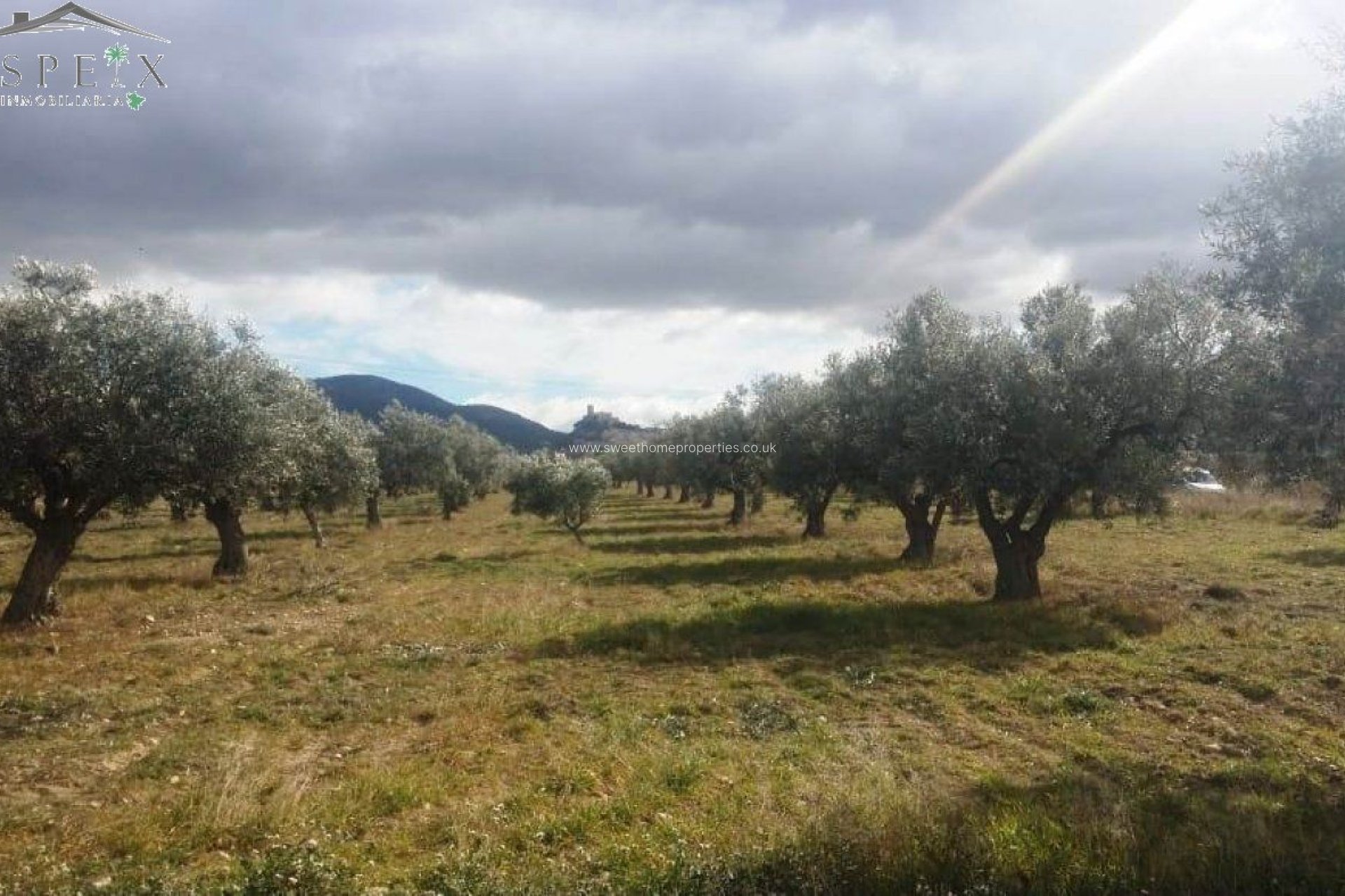 Resale - Plot - Biar