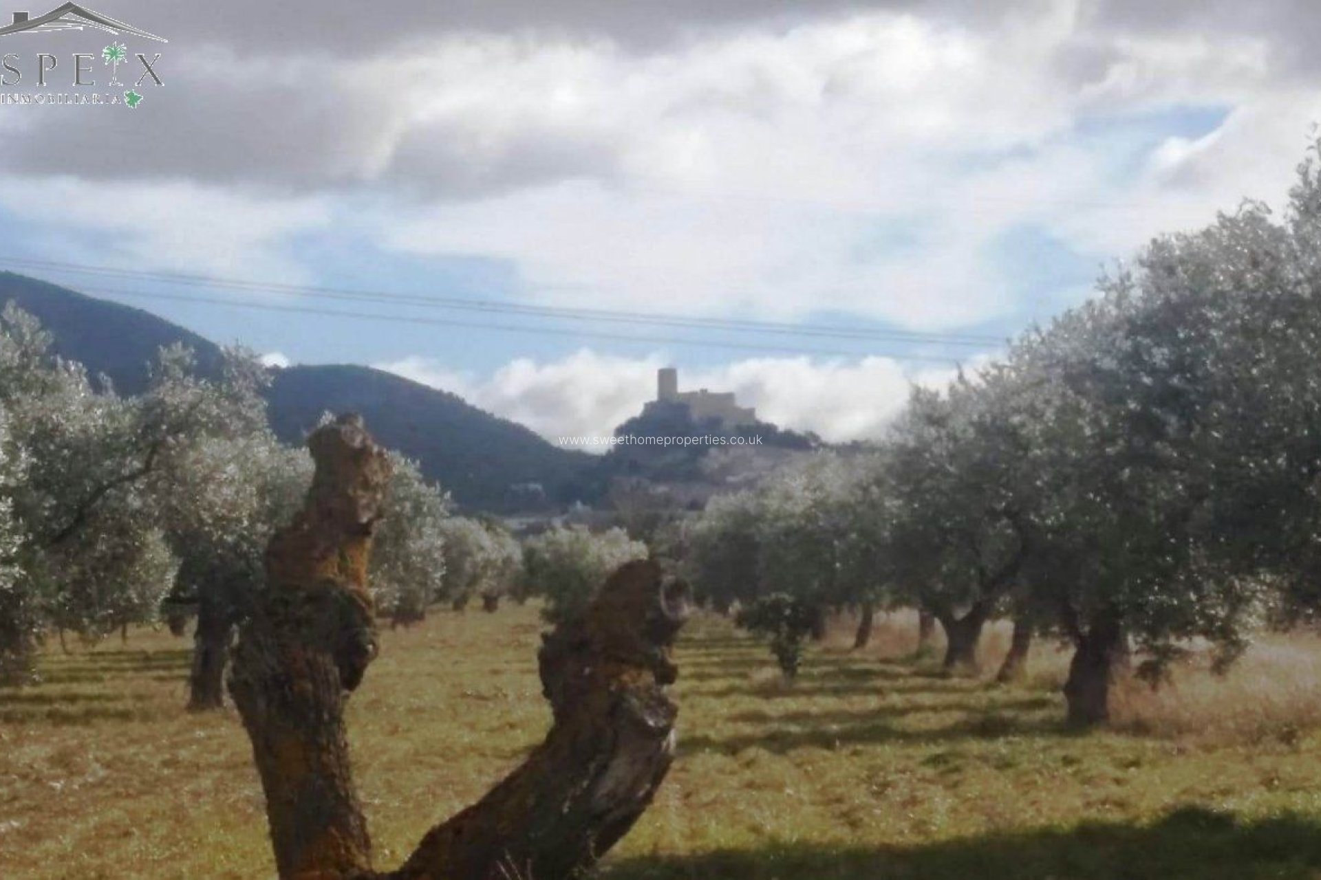 Resale - Plot - Biar