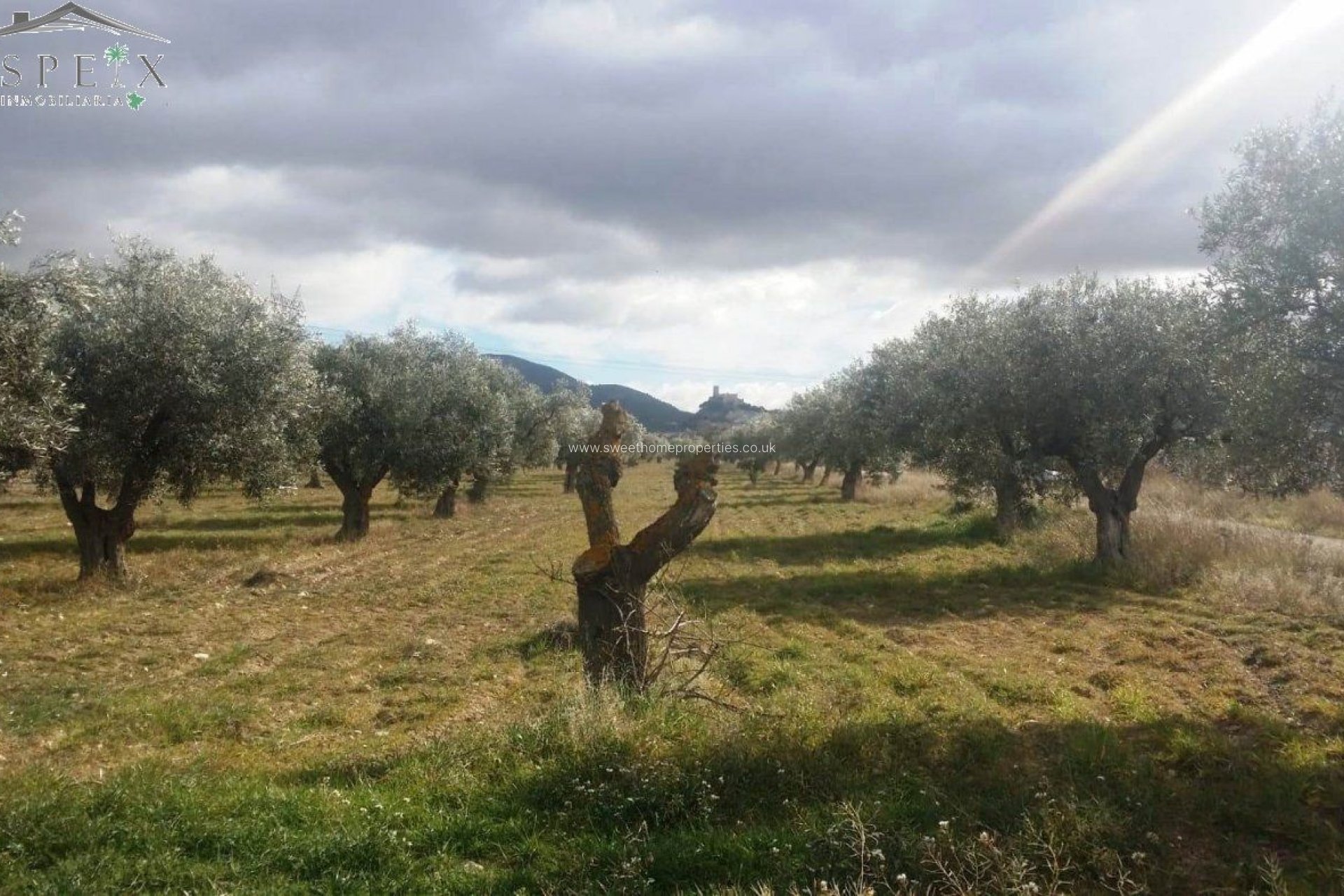 Resale - Plot - Biar