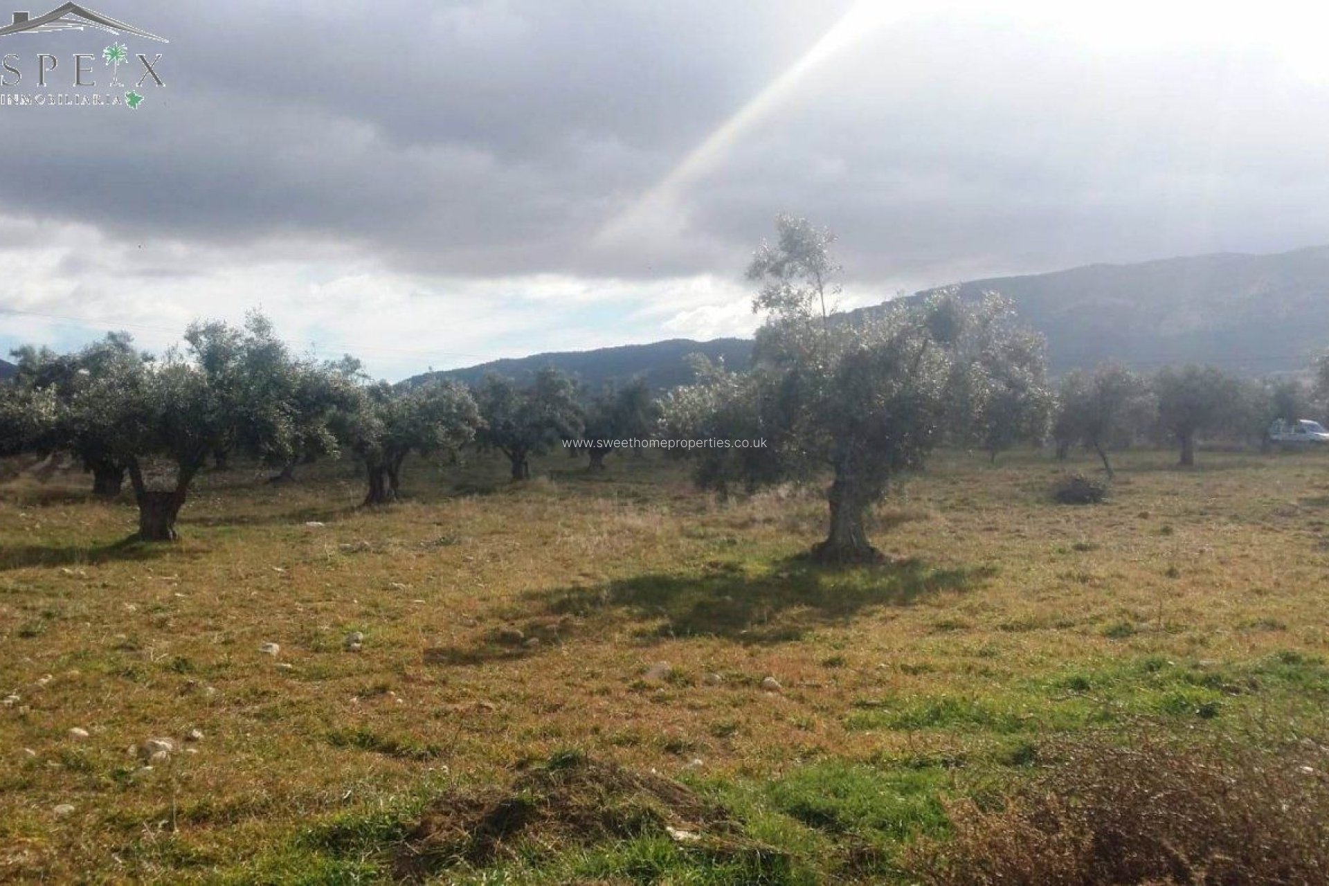 Resale - Plot - Biar