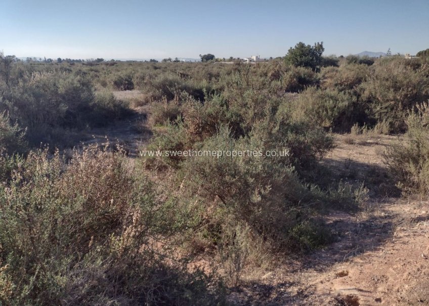 Resale - Plot - Elche