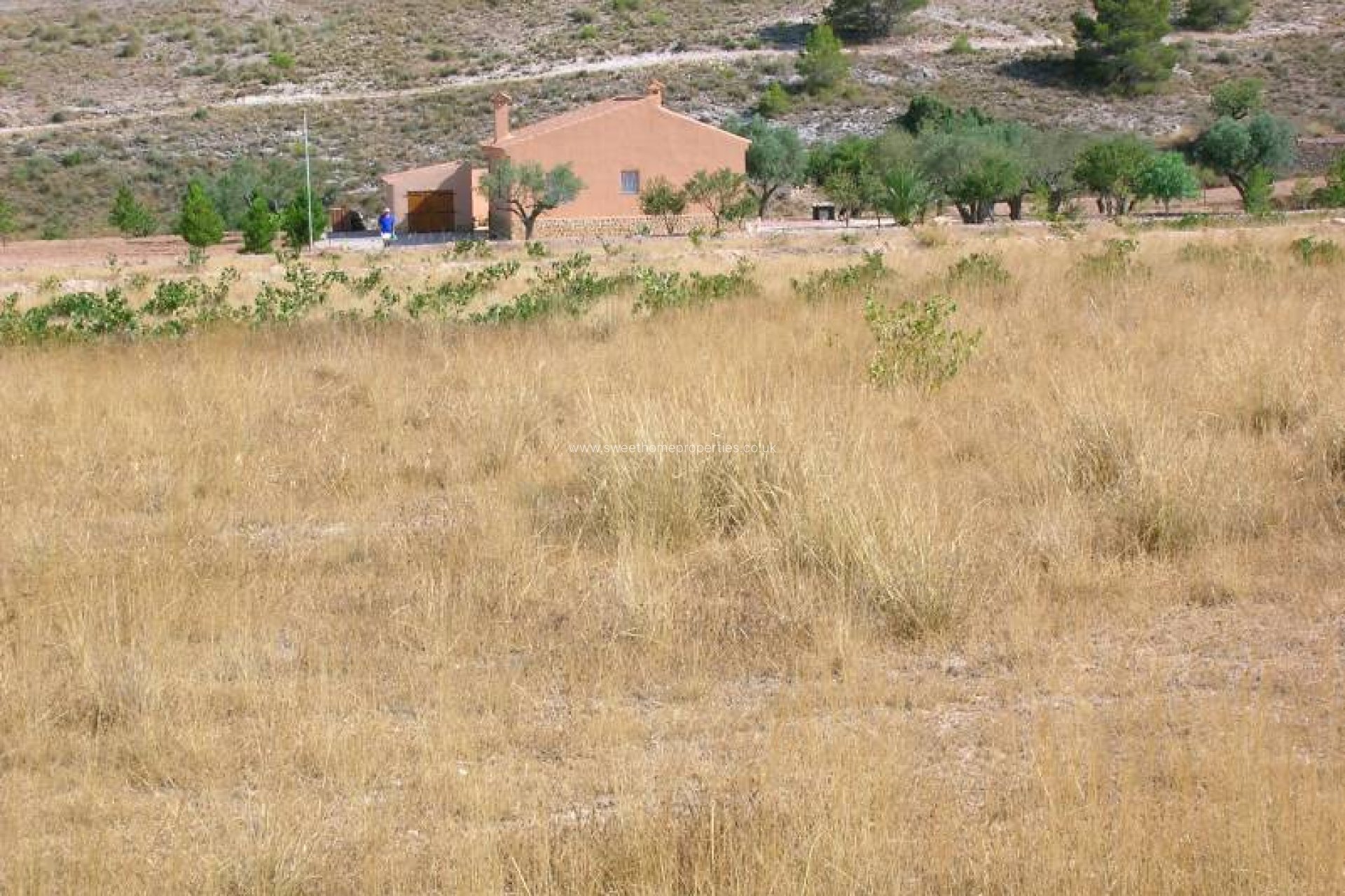 Resale - Plot - Hondon De Las Nieves - canalosa