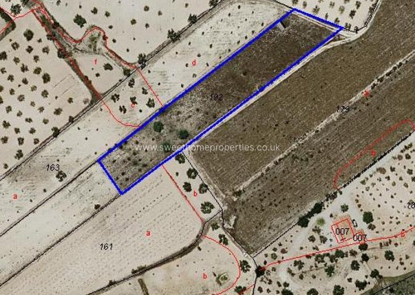 Resale - Plot - Hondon De Las Nieves - canalosa