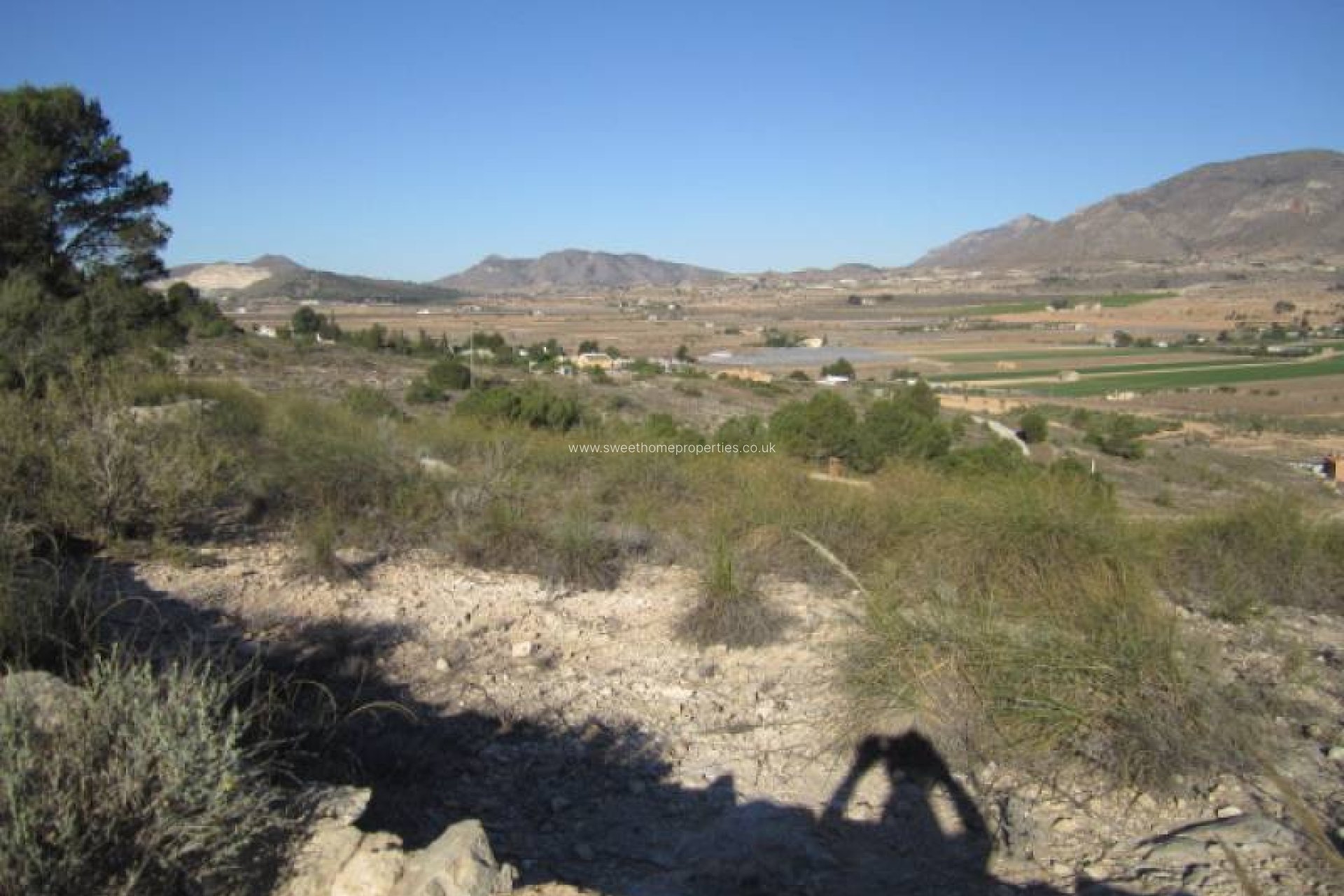 Resale - Plot - Hondon De Las Nieves - Hondon de las Nieves - Campo