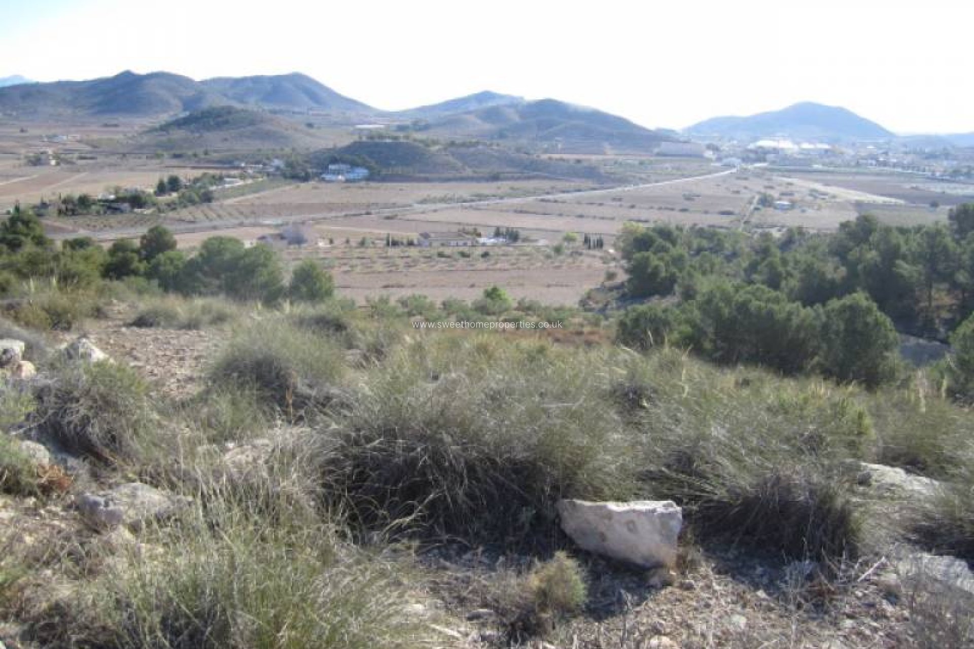 Resale - Plot - Hondon De Las Nieves - Hondon de las Nieves - Campo