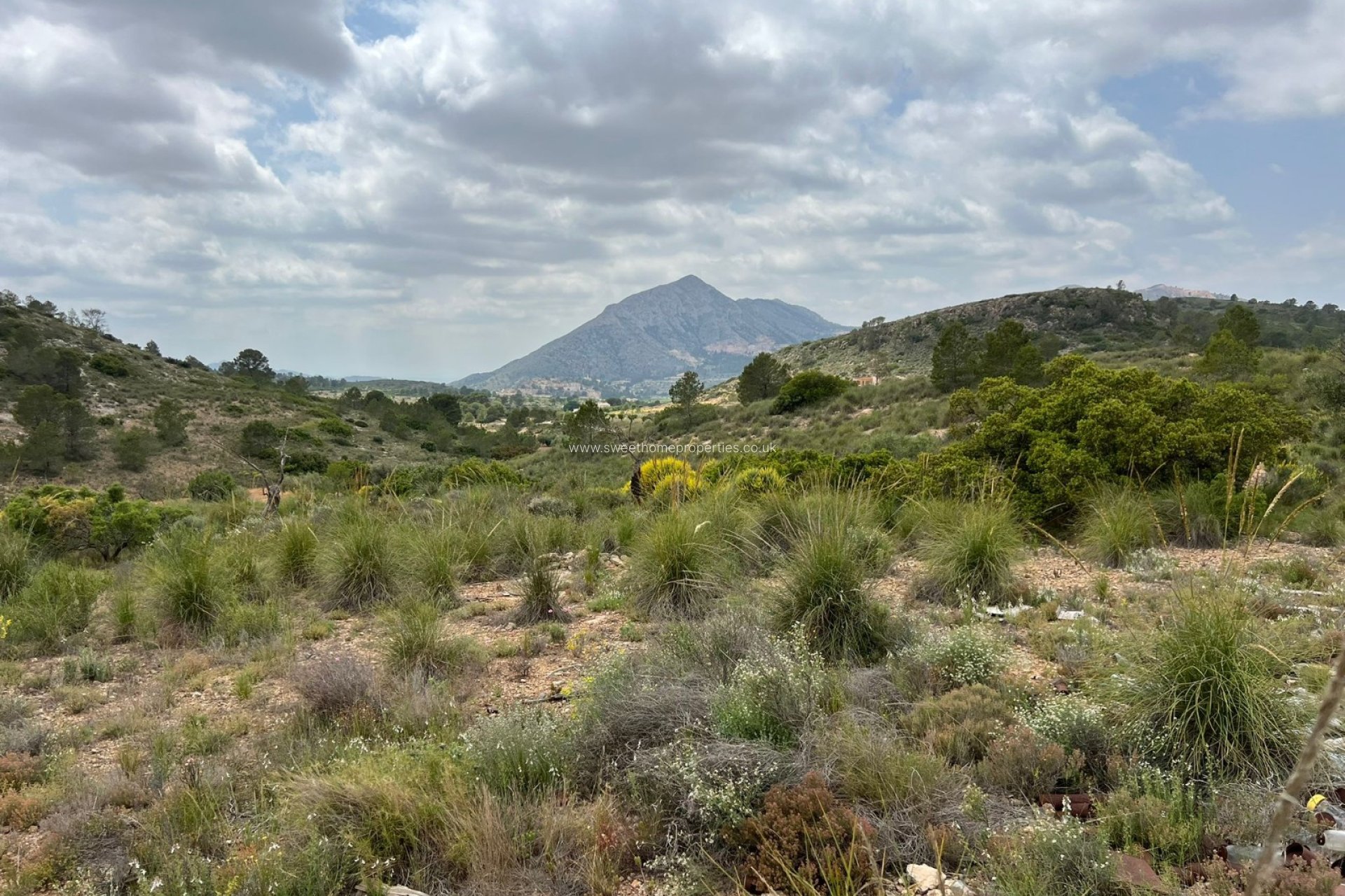 Resale - Plot - Hondon De Las Nieves - HONDON DE LAS NIEVES