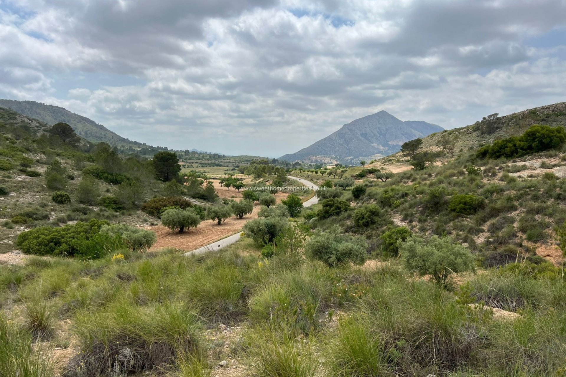 Resale - Plot - Hondon De Las Nieves - HONDON DE LAS NIEVES