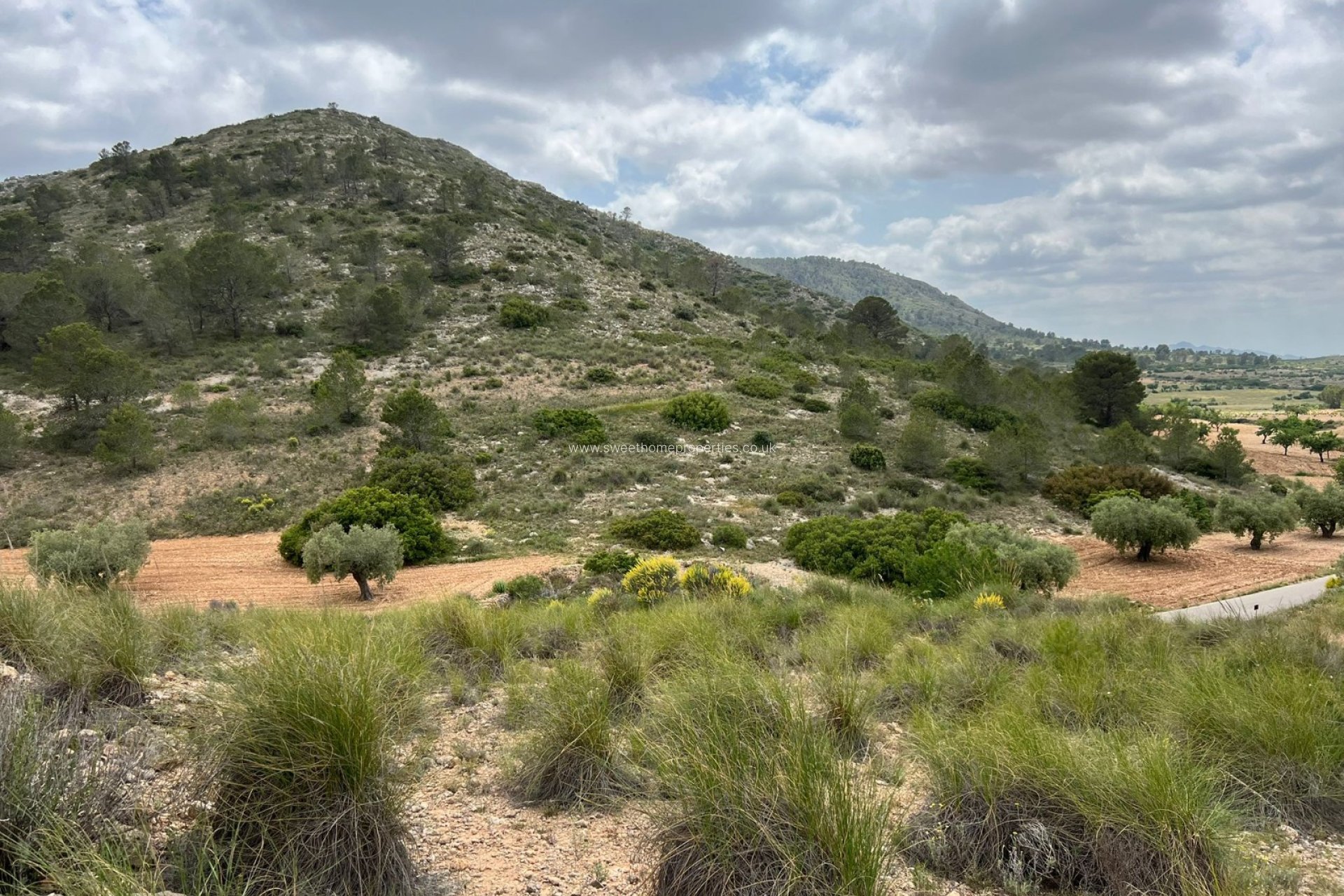 Resale - Plot - Hondon De Las Nieves - HONDON DE LAS NIEVES
