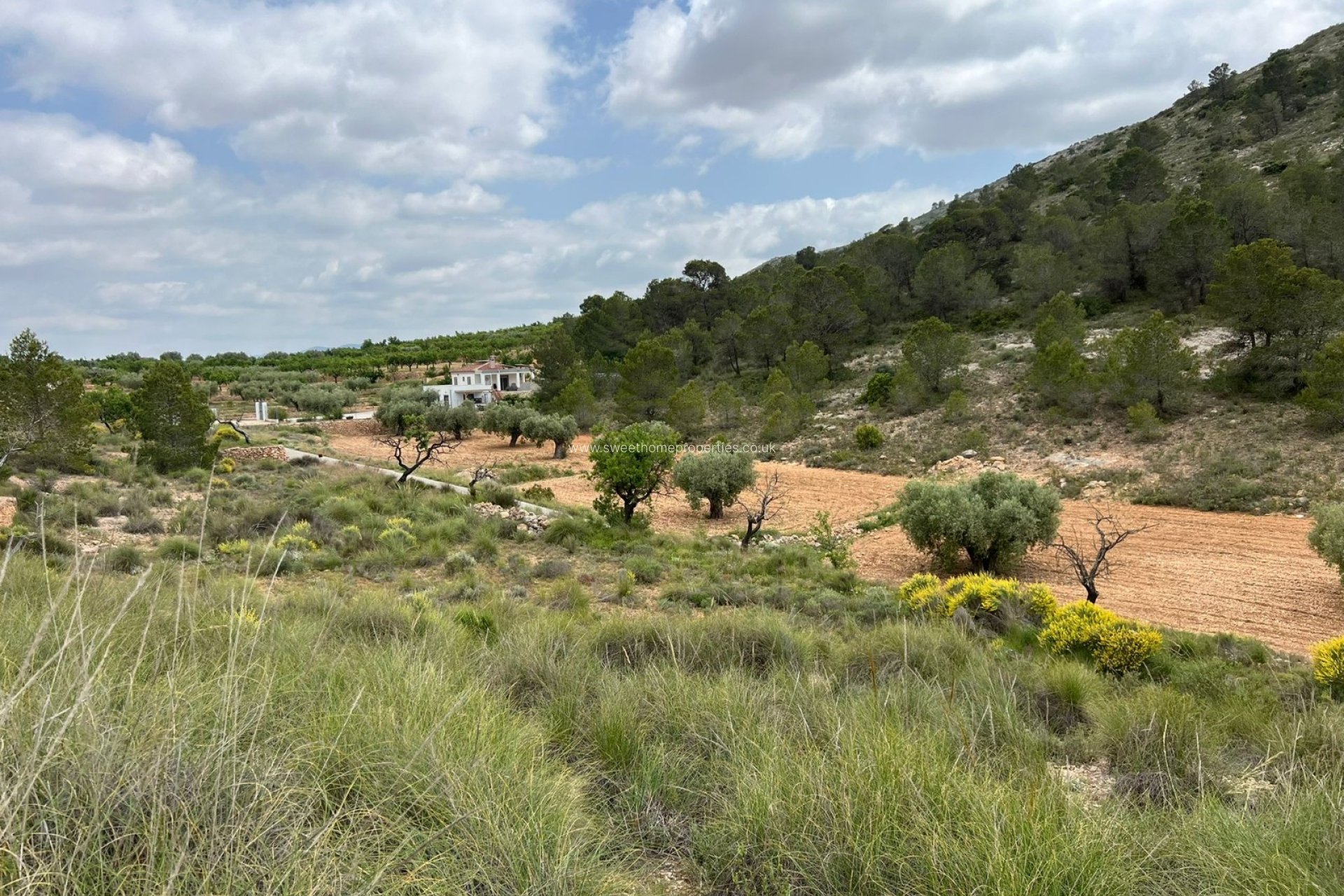 Resale - Plot - Hondon De Las Nieves - HONDON DE LAS NIEVES
