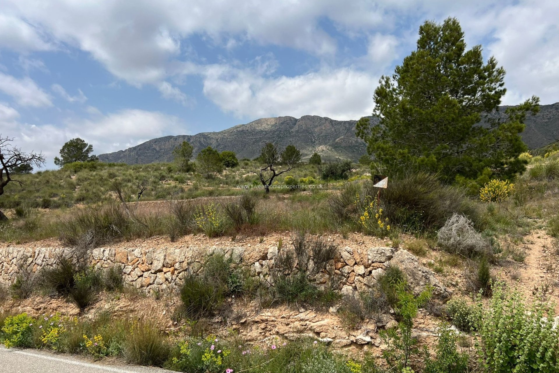 Resale - Plot - Hondon De Las Nieves - HONDON DE LAS NIEVES