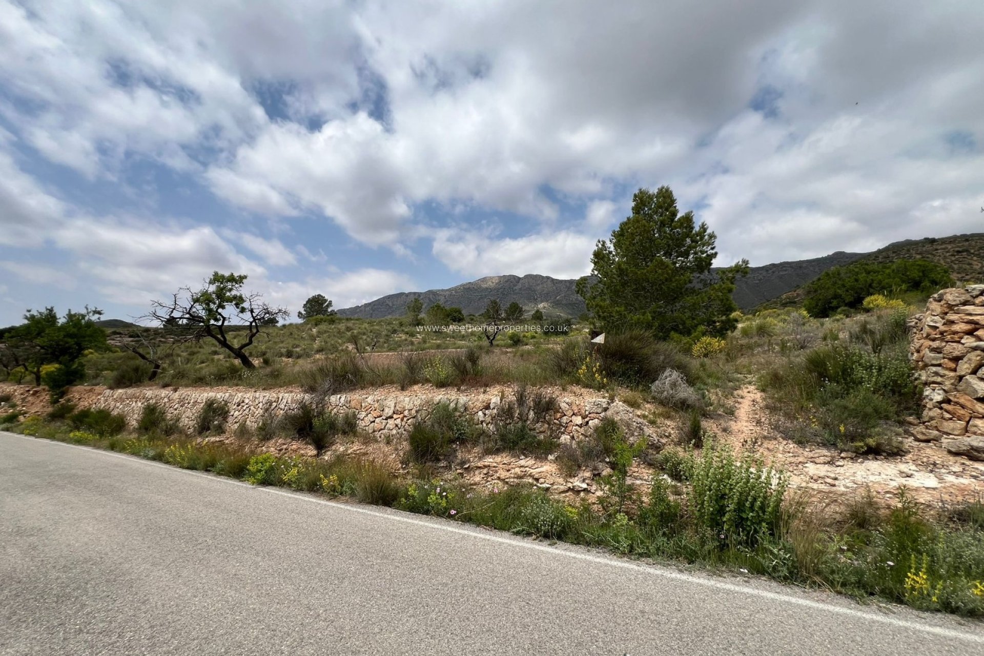 Resale - Plot - Hondon De Las Nieves - HONDON DE LAS NIEVES