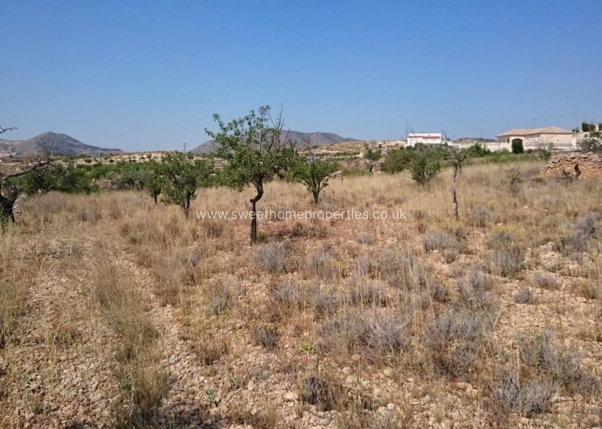 Resale - Plot - Hondon De Las Nieves - LA CANALOSA