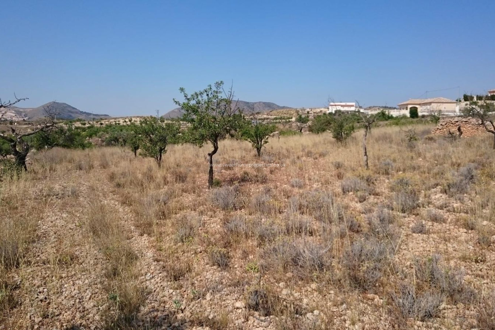 Resale - Plot - Hondon De Las Nieves - LA CANALOSA
