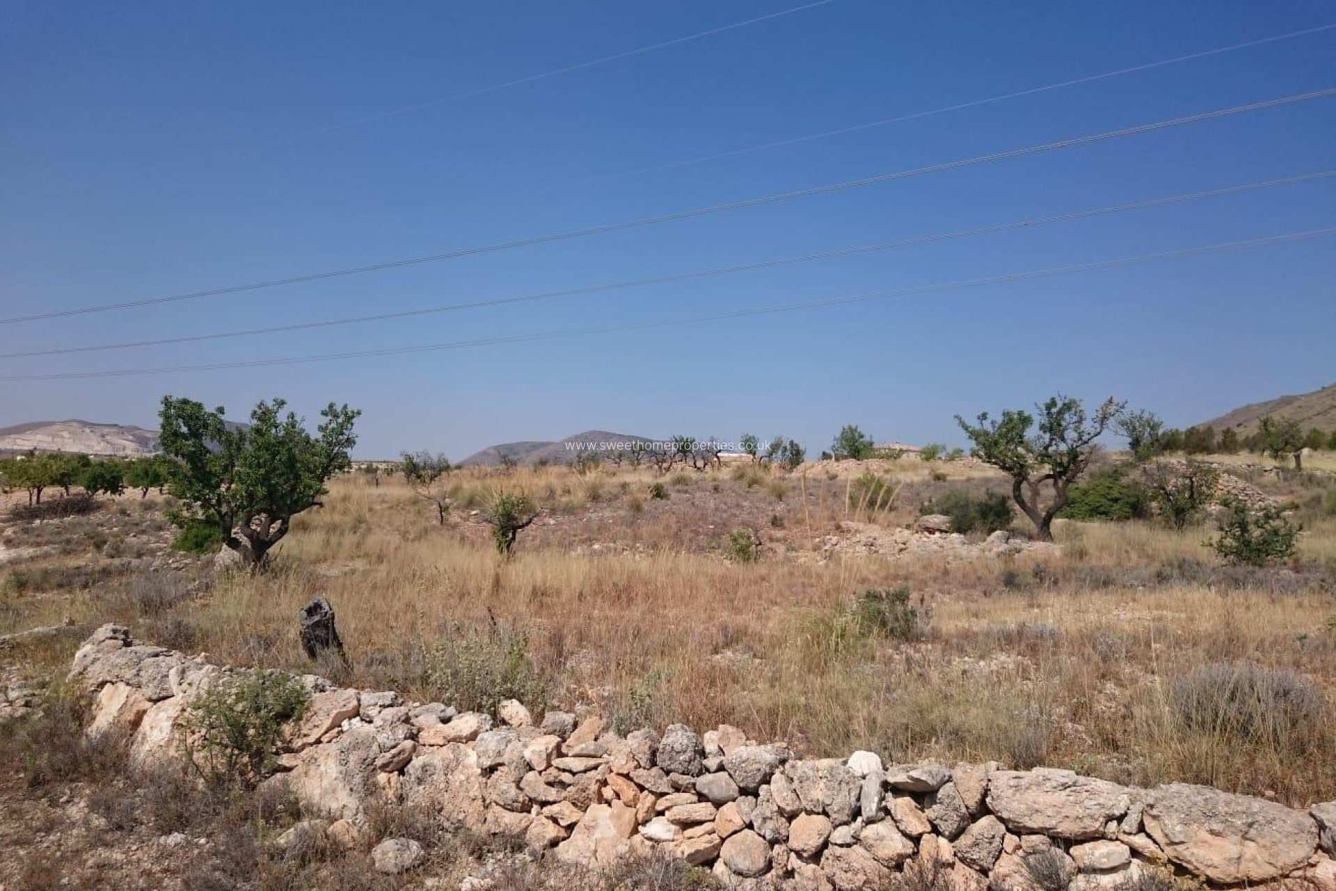 Resale - Plot - Hondon De Las Nieves - LA CANALOSA