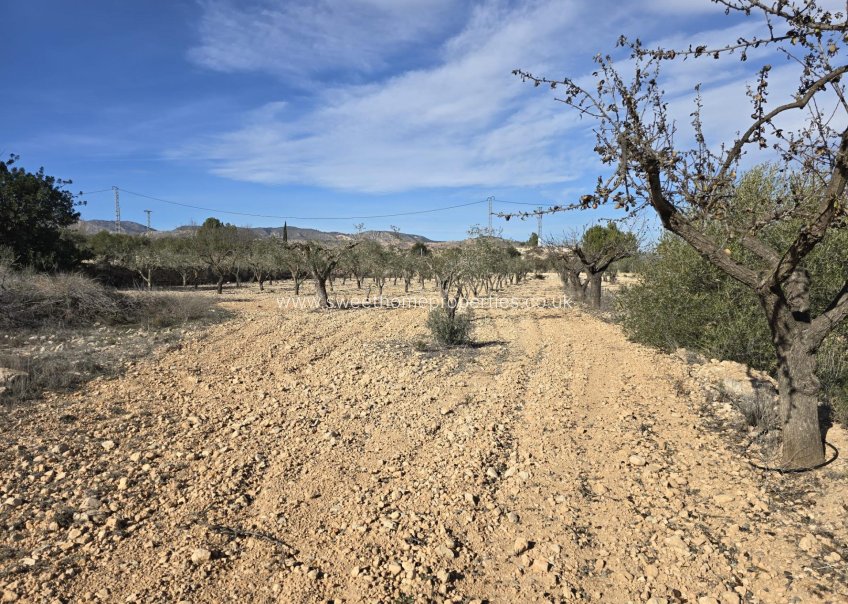 Resale - Plot - Hondon De Las Nieves - La cava