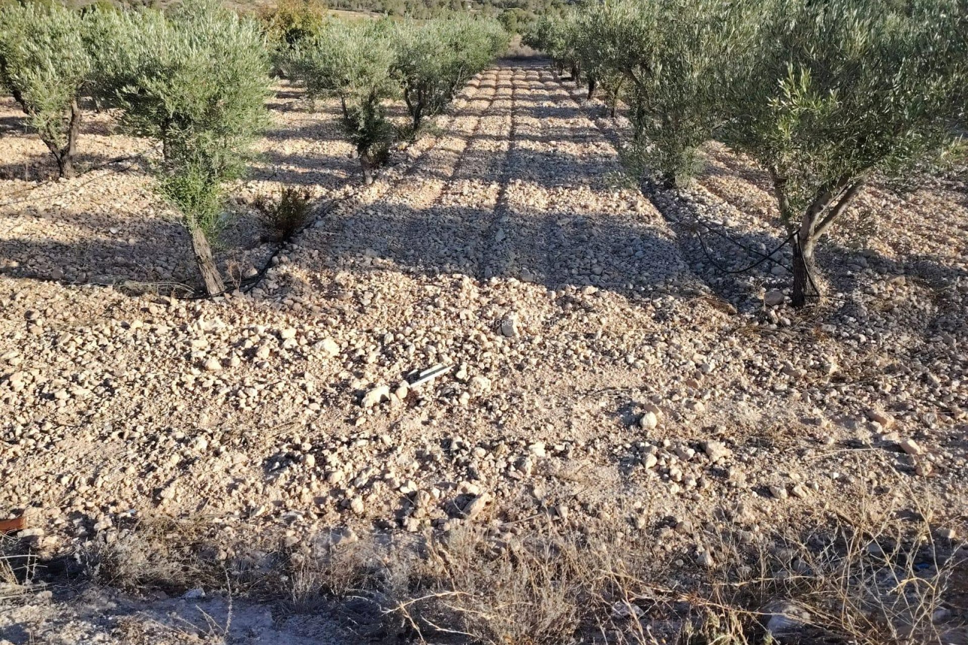 Resale - Plot - Hondon De Las Nieves - La cava