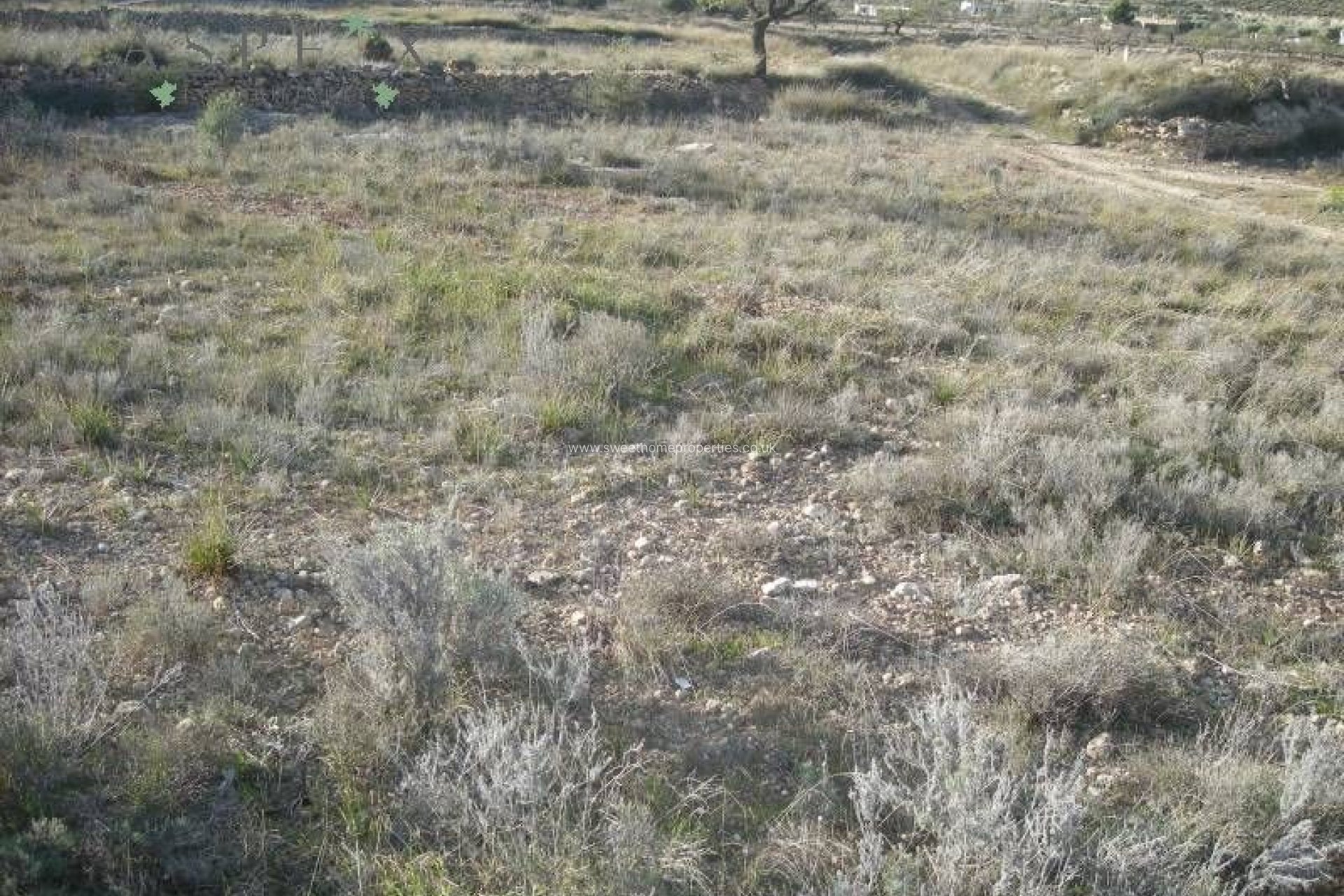 Resale - Plot - Hondon De Las Nieves - La solana