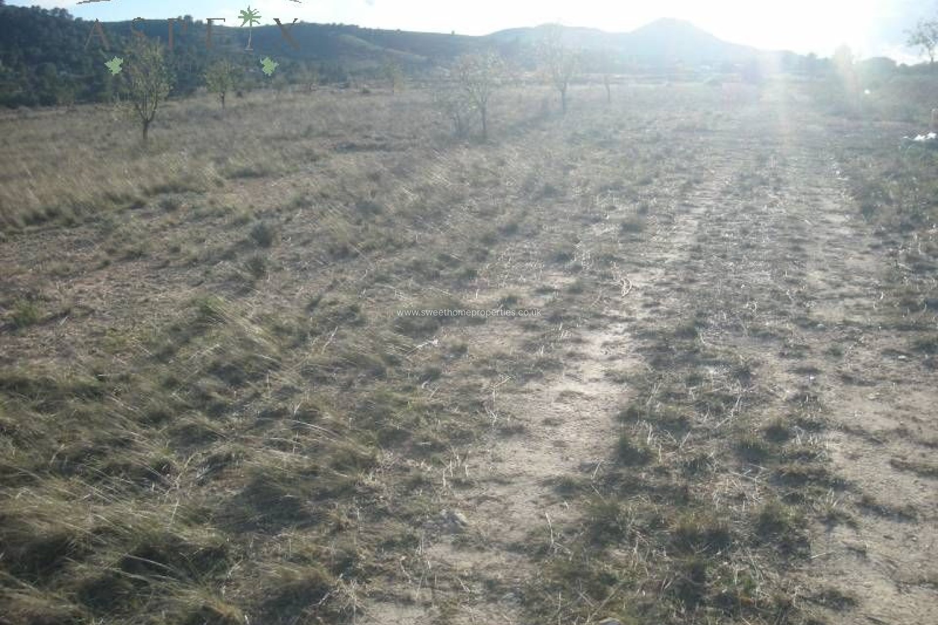 Resale - Plot - Hondon De Las Nieves - La solana