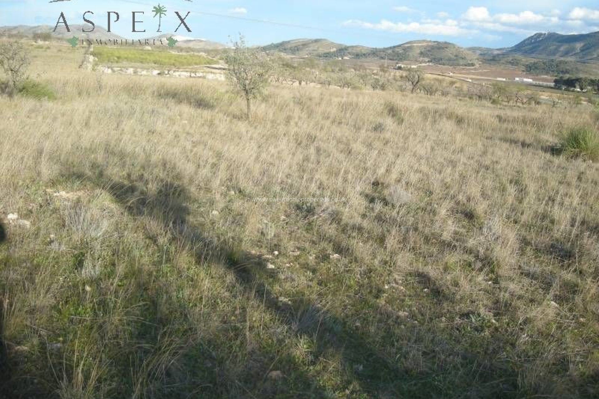 Resale - Plot - Hondon De Las Nieves - La solana